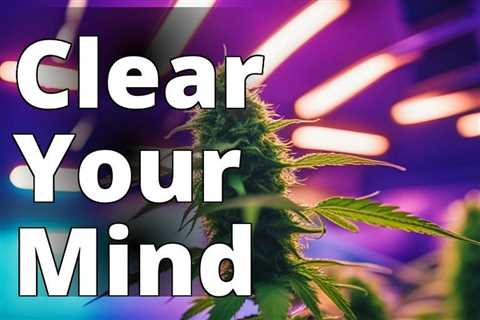 Sure, here’s a new keyword: “indoor marijuana growing tips”