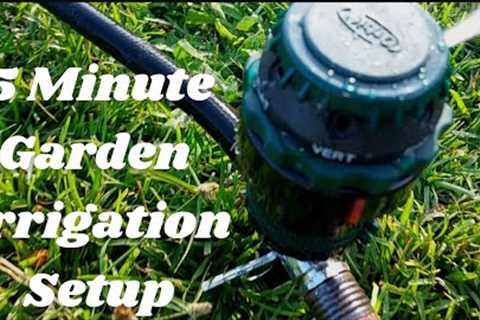 5 Minute Garden IrrigationSet Up | 30 Dollar Irrigation System
