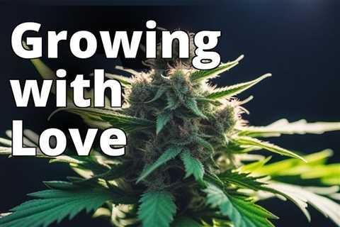 The Ultimate Guide to Growing Marijuana for Personal Fulfillment: Tips and Tricks