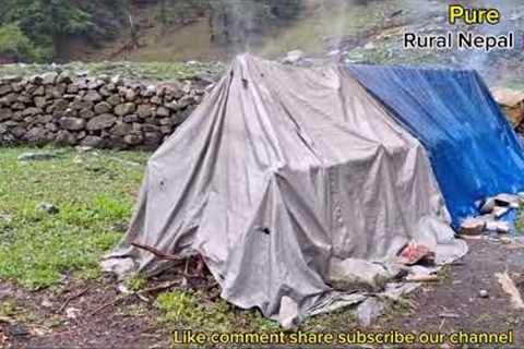 Nepali mountain village life | Nepali mountain organic food | Sheep shepherd life Hard work Rainy ||