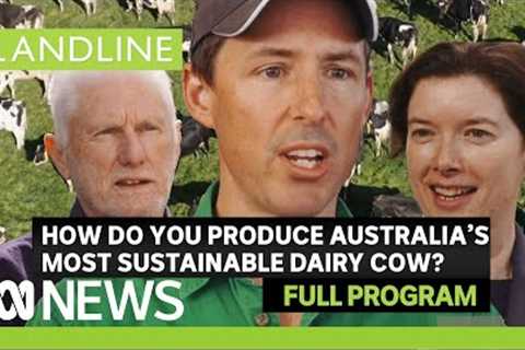 Genomics creating sustainable cows | Landline full program | ABC News In-depth