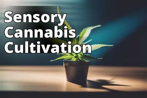 The Ultimate Hobby: Growing Marijuana for Sensory Enhancement