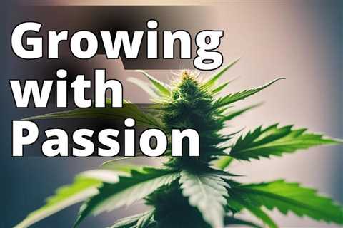 The Ultimate Beginner’s Guide to Growing Marijuana for Personal Enrichment