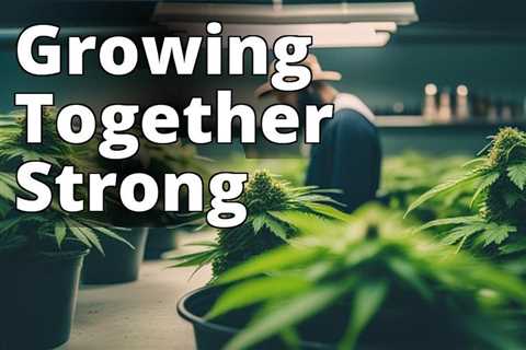 The Ultimate Hobby: Exploring Different Cultures with I Love Growing Marijuana for Cultural..
