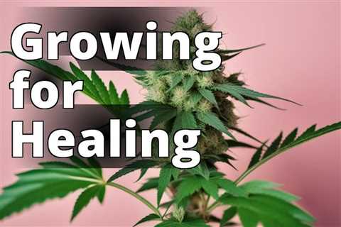 Cultivate Your Own Cannabis and Heal Emotionally: A Comprehensive Guide
