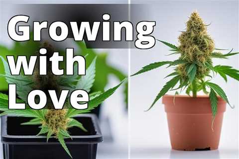 From Seed to Smoke: A Step-by-Step Guide to Growing Recreational Marijuana