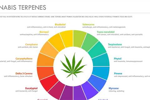 USA: There are >20,000 known terpenes, making them the largest group of…