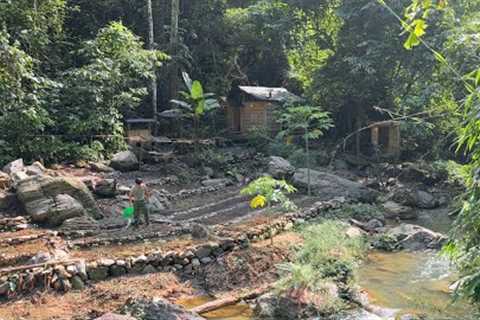 Gardening, Sowing seeds, Making your own organic fertilizer. 1 Years Alone in Forest Build Gardening