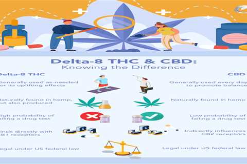 Cbd Vs Delta 8: What You Need To Know Before Buying?