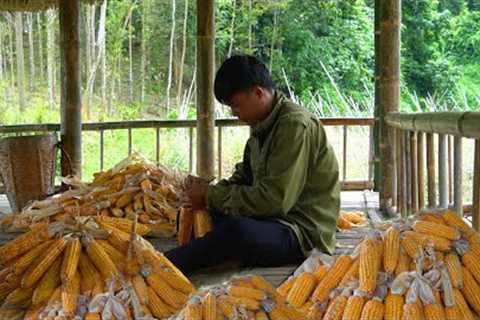 Build kitchen stairs, harvest corn to prepare food for winter, Live alone in green fields