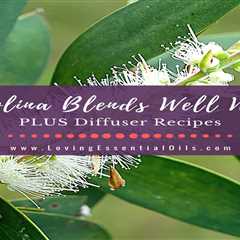 Nerolina Essential Oil Blends Well With PLUS Diffuser Recipes