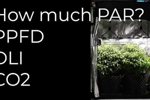 Best PAR intensity for plants | PPFD | DLI | CO2