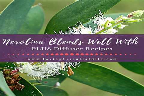 Nerolina Essential Oil Blends Well With PLUS Diffuser Recipes
