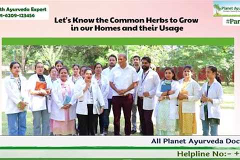 Dr. Vikram Chauhan (MD-Ayurveda) Teaching About Common Herbal Plants - Home Remedies &..