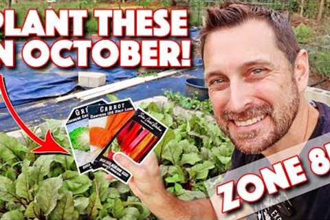 Perfect Vegetables To Plant In October In Zone 8b!