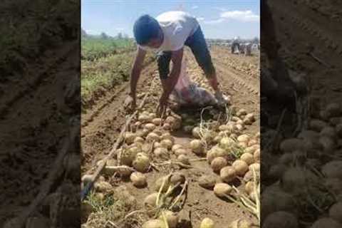 nobody wants to do farming but without farming is it possible to survive anybody !