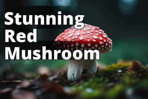 Unveiling the Secrets of Red Amanita Muscaria: A Comprehensive Guide