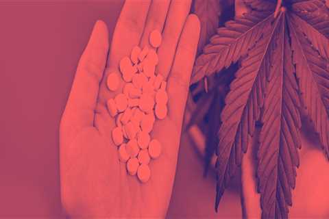 Cbd Vs Paxil: Get The Main Difference In 2023