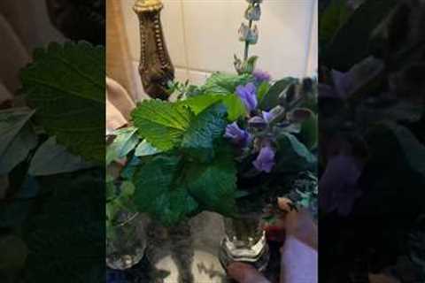 Let’s make a herb bouquet! #shorts #homesteader #food #garden #herbal #UtilityJane #cooking #diy