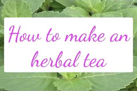 How to make an herbal tea.  Yum, basil!