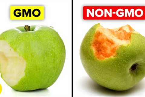 Genetically Modified Foods and Their Pros And Cons