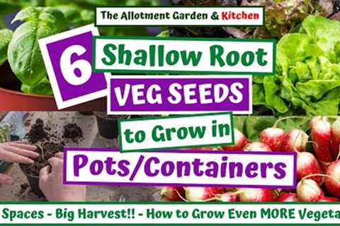 Growing Veg in Shallow Containers - Tiny Spaces, Big Harvests (Redefine Your Garden Space) #133