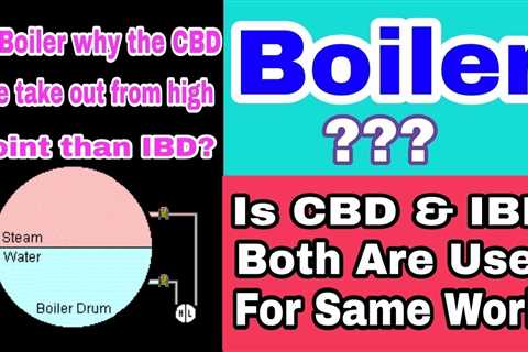 Cbd Vs Ibd: Which Is Best In 2023?