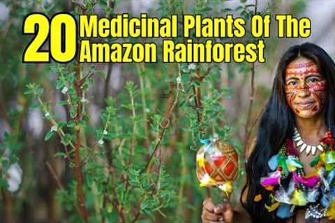 20 Medicinal Plants Of The Amazon Rainforest | Healing Plants | Blissed Zone