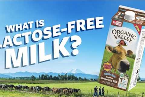 What is Lactose Free milk? | Ask Organic Valley