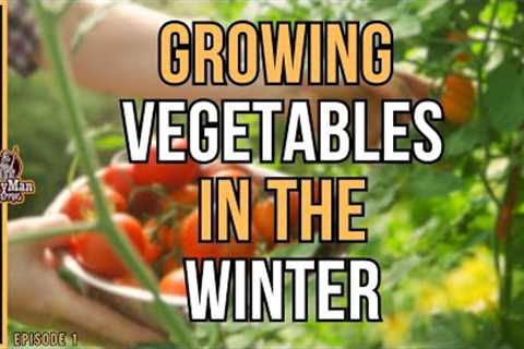 Growing Vegetables In The Winter In Raised Beds