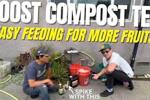 How to Boost Compost Tea & Feed When Watering Your Cannabis Garden