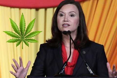 Florida Attorney General Argues to Keep Cannabis Legalization Measure Off the 2024 Ballot