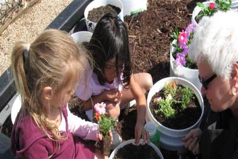 Growing Herbs in Travis County, Texas: Local Classes and Workshops