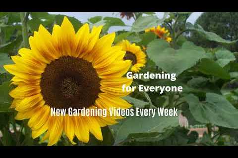 Grow Big in the Garden (Q&A)