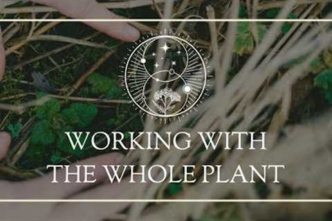 Working with the Whole Plant