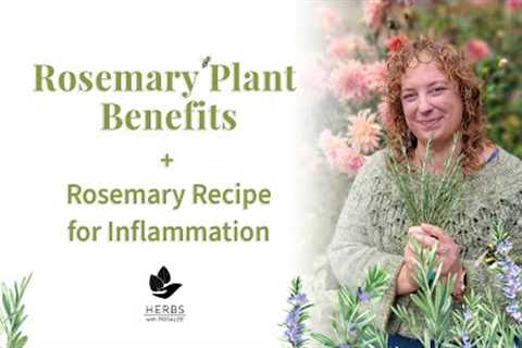 Rosemary Plant Benefits + Rosemary Recipe for Inflammation