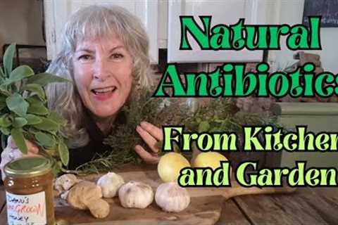 Natural Antibiotics from Kitchen and Garden