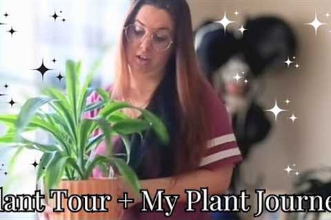 Houseplant Tour 2023