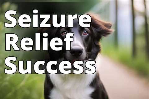 A Game-Changer for Canine Health: Exploring the Benefits of CBD Oil for Seizures in Dogs