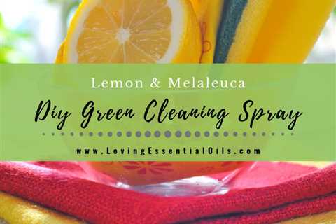 Lemon Melaleuca Non-toxic Green Essential Oil Cleaning Spray Recipe