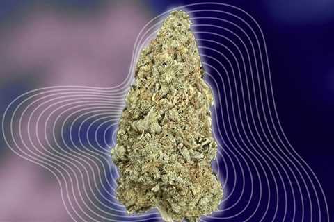 Indica100% ถึงใจแน่นอน ง่วงจัดๆตัวเอื่อยขยับไม่ค่อยได้ ใช้พักผ่อน…