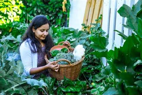 Transforming a 4 m2 Land to an Abundant Vegetable Garden