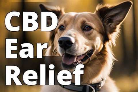 The Ultimate Guide to CBD Oil Benefits for Dog Ear Infections: Relieve Canine Discomfort Naturally