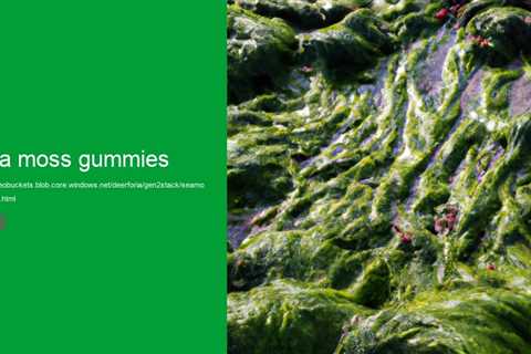 sea moss gummies