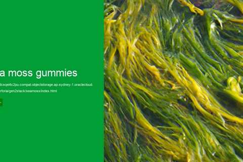 sea moss gummies