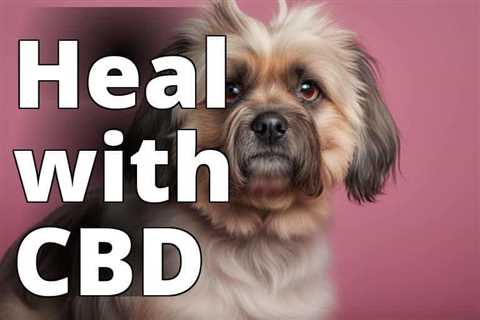 Unlocking the Healing Power of CBD Oil for Hot Spots in Dogs: A Must-Have Pet Care Remedy