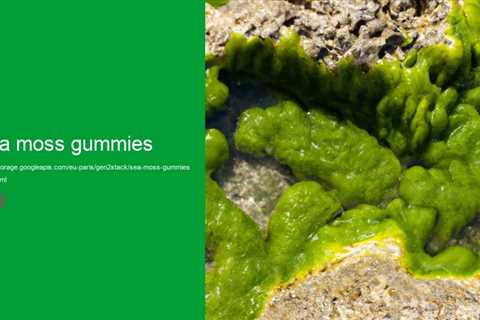 sea moss gummies