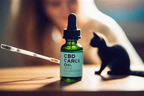 The Ultimate Guide to Using CBD Oil for Cat Anxiety Relief
