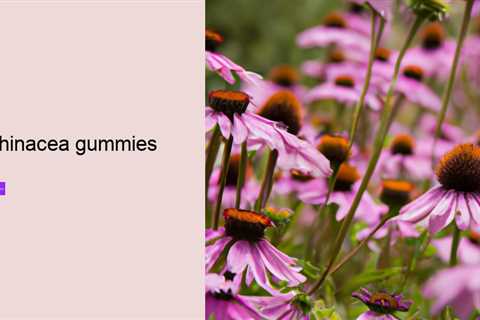 echinacea gummies