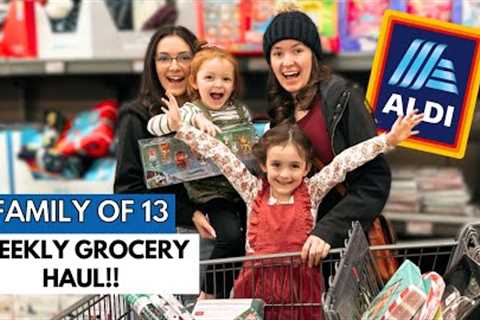 FAMILY OF 13❤️WEEKLY ALDI GROCERY HAUL & HOLIDAY DEALS!